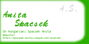 anita spacsek business card